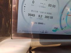 GAC Aion GS8 Pioneer Series 2.0T GDI FWD Luxury 5-Seater - ფოტო 4