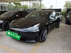 Tesla Model 3 Facelift Standard Range RWD Upgrade 3D1 - ფოტო 1