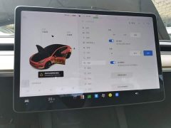 Tesla Model 3 Facelift Standard Range RWD Upgrade 3D1 - ფოტო 12