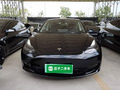 Tesla Model 3 Facelift Standard Range RWD Upgrade 3D1 - ფოტო 2