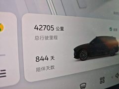 NIO ES6 75kWh - ფოტო 11