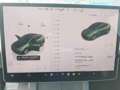 Tesla Model Y Rear-Wheel Drive - ფოტო 11