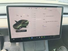 Tesla Model Y Rear-Wheel Drive - ფოტო 12