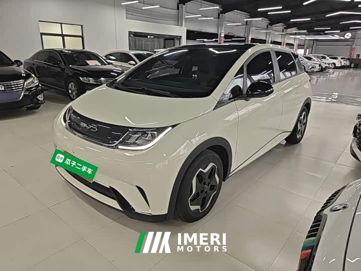 BYD Dolphin 405km Fashion Edition - ავტომობილი ჩინეთიდან