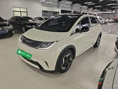 BYD Dolphin 405km Fashion Edition - ფოტო 1