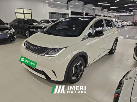 2022 BYD Dolphin 405km Fashion Edition