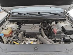 BYD Song Pro 2021 1.5T Automatic Xiao Yun Elite - ფოტო 19