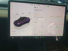 Tesla Model 3 2022 Rear-Wheel Drive - ფოტო 11