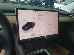 Tesla Model 3 2022 Rear-Wheel Drive - ფოტო 12