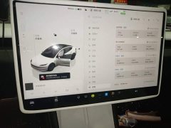 Tesla Model 3 2023 Rear-Wheel Drive - ფოტო 11