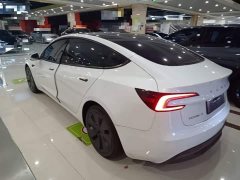 Tesla Model 3 2023 Rear-Wheel Drive - ფოტო 4
