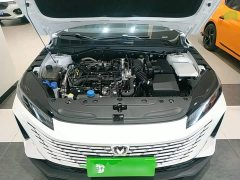 Changan Eado 2025 Blue Whale 1.5T 500Bar Luxury - ფოტო 19