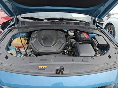Geely Xingrui 2.0T Diesel Premium Edition - ფოტო 19