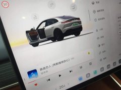 Nio Lerado L60 60kWh Rear-Wheel Drive - ფოტო 8