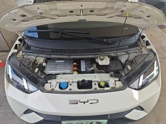 BYD Seagull Flying Edition - ფოტო 19