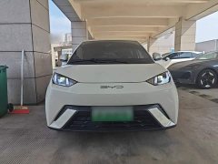 BYD Seagull Flying Edition - ფოტო 2