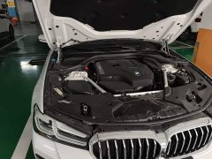 BMW 5 Series Facelift 530Li M Sport Luxury - ფოტო 18