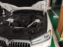 BMW 5 Series Facelift 530Li M Sport Luxury - ფოტო 19