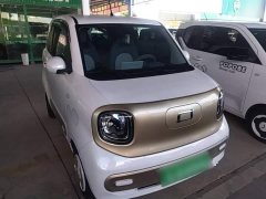FAW Besturn Xiaoma 222km Linglong Edition - ფოტო 3