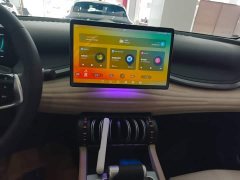 BYD Yuan Plus Glory Edition 430KM Transcend - ფოტო 12