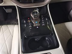 Denza D9 2022 DM-i 970 AWD Flagship - ფოტო 13