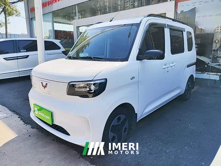 Wuling Zhiguang New Energy 305km Aspiring Edition - ავტომობილი ჩინეთიდან