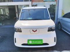 Wuling Zhiguang New Energy 305km Aspiring Edition - ფოტო 2