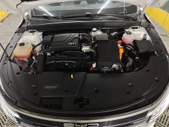 BYD Destroyer 05 Glory Edition DM-i 55KM Luxury - ფოტო 19