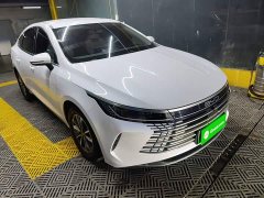 BYD Destroyer 05 Glory Edition DM-i 55KM Luxury - ფოტო 3