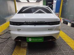 BYD Destroyer 05 Glory Edition DM-i 55KM Luxury - ფოტო 5