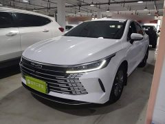 BYD Destroyer 05 DM-i 55KM Cruising Edition - ფოტო 1