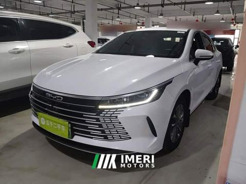 2025 BYD Destroyer 05 DM-i 55KM Cruising Edition