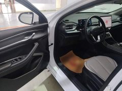 BYD Destroyer 05 DM-i 55KM Cruising Edition - ფოტო 15