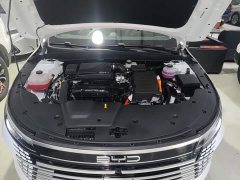 BYD Destroyer 05 DM-i 55KM Cruising Edition - ფოტო 19