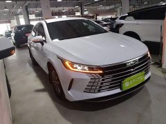 BYD Destroyer 05 DM-i 55KM Cruising Edition - ფოტო 3