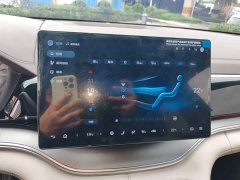 BYD Song Plus New Energy 2025 DM-i 112KM Prestige - ფოტო 12