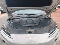 BYD Song Plus New Energy 2025 DM-i 112KM Prestige - ფოტო 19
