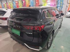 Ford Lingrui 2023 EcoBoost 170 Supreme Executive Edition - ფოტო 6