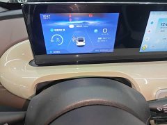 Wuling Binguo 333km Joy Edition - ფოტო 11