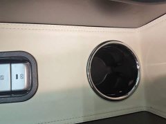 Wuling Binguo 333km Joy Edition - ფოტო 8