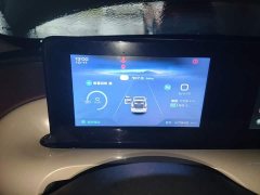 Wuling Binguo 2023 203km Comfort Edition - ფოტო 11