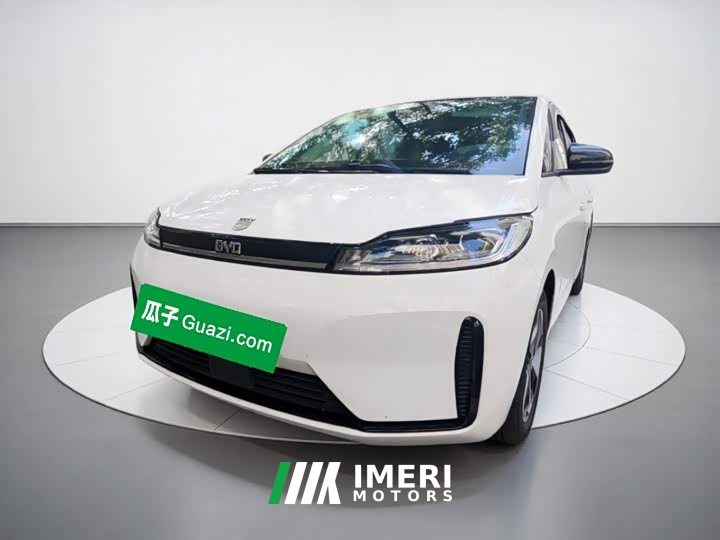 BYD D1 Leading Edition - ავტომობილი ჩინეთიდან