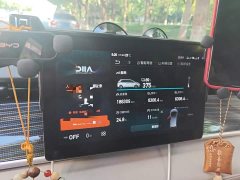 BYD D1 Leading Edition - ფოტო 4