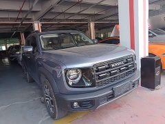 Great Wall Dachshund 2026 1.5T DCT Border Collie Edition - ფოტო 3