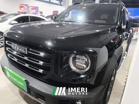 2022 Great Wall Dachshund 2.0T DCT Four-Wheel Drive Howling Celestial Dog Edition - ავტომობილი ჩინეთიდან