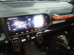 Great Wall Dachshund 2.0T DCT Four-Wheel Drive Howling Celestial Dog Edition - ფოტო 11