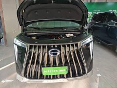 GAC Aion E9 Master - ფოტო 19