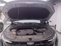 Geely Boyue L 1.5TD DCT Luxury - ფოტო 19