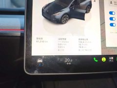 Tesla Model Y Rear-Wheel Drive - ფოტო 11