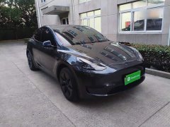 Tesla Model Y Rear-Wheel Drive - ფოტო 3